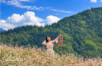  Lung Cu attracts visitors to Tuyen Quang as buckwheat flowers burst into bloom